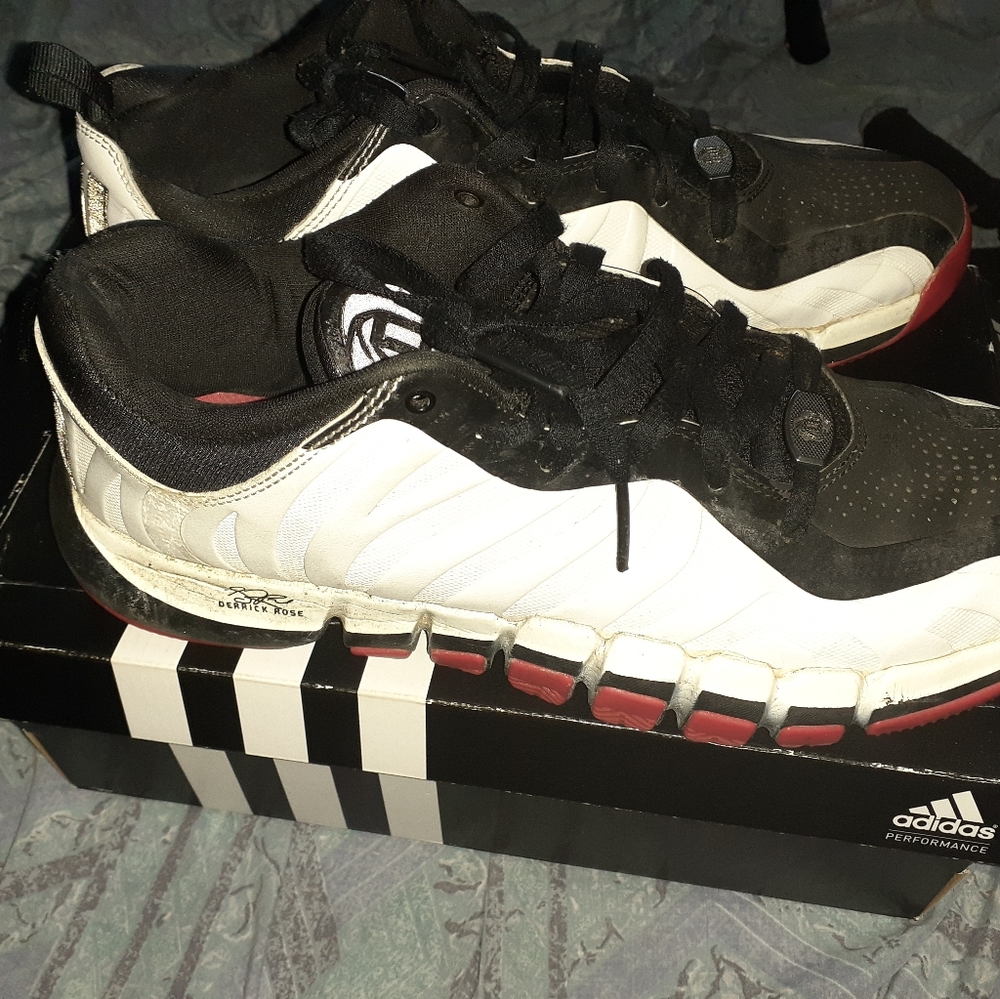 D rose adidas